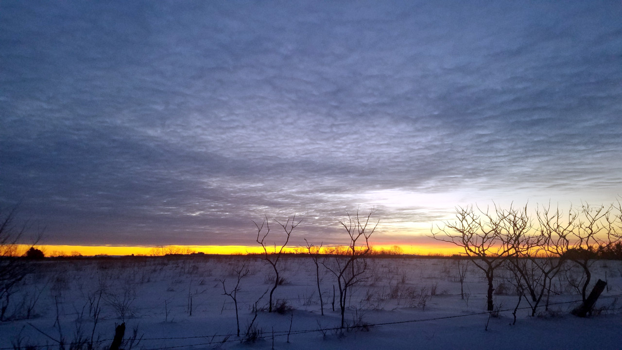 Sunrise over snow